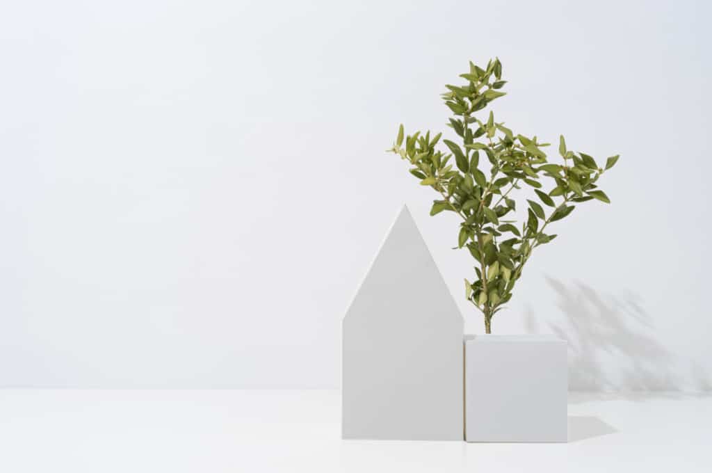 green small plants on the top of rectangular box next to a house shape box with shadow of the plants as a background